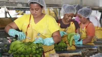 Los sectores textil y agrícola están entre los más beneficiados.