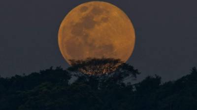 Fotografía de la superluna hoy, lunes 8 de septiembre de 2014, sobre Río de Janeiro (Brasil).