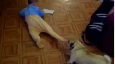 En el siguiente video se observa a una dupla derrochando mucho amor y ternura. El bebé y el perrito se divierten al máximo y aunque no hay palabras entre ellos, el entendimiento es mutuo. Foto YouTube