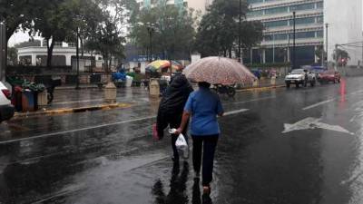 El frente frío ingresará por la mañana y se desplazará rápidamente. Imagen de archivo del parque central de San Pedro Sula.