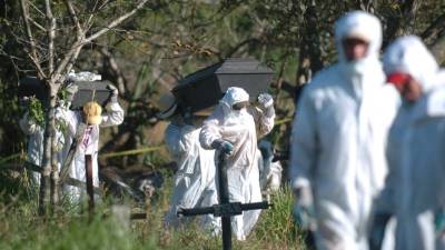 Al menos 150 campesinos han sido asesinados en el valle del Aguán desde 2009 según cifras de organizaciones campesinas de Honduras. EFE/Archivo