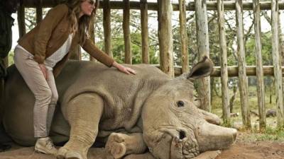 Sudan tuvo una vida excepcionalmente memorable', indicó el zoológico checo el martes en un comunicado.