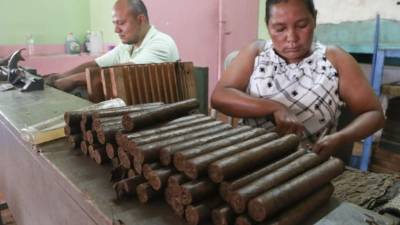 Las mujeres son las que más se dedican a fabricar puros en Danlí.