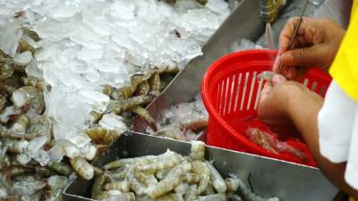 Productores proyectan reducción de 25 a 30%.