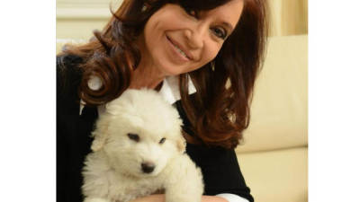 Simón, el nuevo perro de la presidenta argentina, estrella en las redes sociales