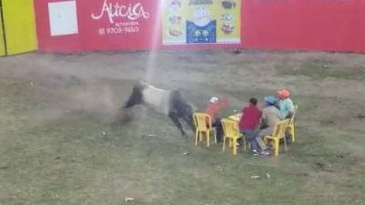 Los hombres, conscientes de lo peligroso del acto, decidieron desafiar al furioso bovino.