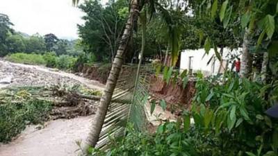 Los municipios más afectados son Erandique y La Virtud, en el departamento de Lempira y Dulce Nombre, Corquín y Santa Rita en Copán.