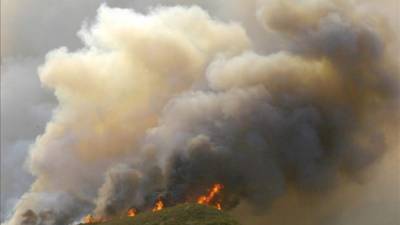 Según cifras del ICF, entre 2010 y 2013 se registraron alrededor de 3.640 incendios forestales que destruyeron 210.333 hectáreas de bosques en Honduras. EFE/Archivo