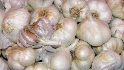 Los antioxidantes, de gran popularidad en las últimas décadas entre quienes cuidan sus dietas, aceleran la progresión del cáncer de pulmón en los ratones y no traen beneficios ciertos para las personas sanas, según un artículo que publica hoy la revista Science Translational.