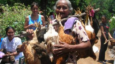 Las campesinas hondureñas siguen esperando propuestas de los candidatos políticos. Fotografía tomada de Periodismo Humano.