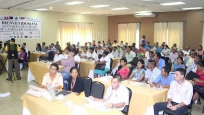 Los más de 130 integrantes del comité de cadena de marañón.