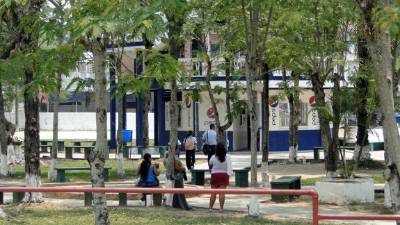 El viejo parque fue construido a mediados del siglo pasado.