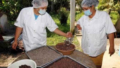 Dos mujeres apoyadas por Funder desgranan semillas de cacao.