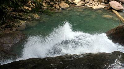Juntas de agua se unen para proteger fuentes en la zona rural de Morazán, Yoro.