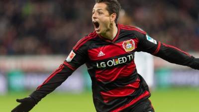 Javier Hernández se sigue consolidando en el club germano. Foto EFE/ Guido Kirchner.
