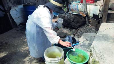 Llaman a la población a destruir nidos del zancudo.