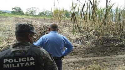 Hallan un cadáver en las cañeras de Villanueva Cortés