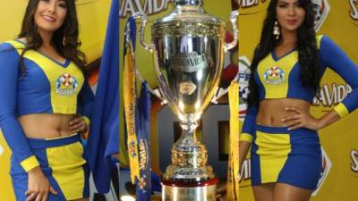 Hoy estas hermosuras de chicas engalanaron el evento de la presentación de la Copa del Torneo Clausura 2017 de la Liga Nacional.