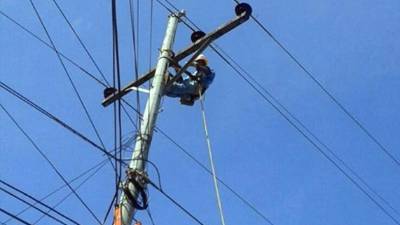 Las estatales buscan la optimización de la red eléctrica nacional.