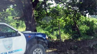 El cadáver de la mujer fue encontrado a la orilla de la calle que conduce a la colonia Larios Silva del sector El Carmen de San Pedro Sula.