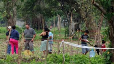 En menos de ocho días grupos de personas llegaron a instalarse de nuevo al acuífero de Sunseri. Foto: Yoseph Amaya