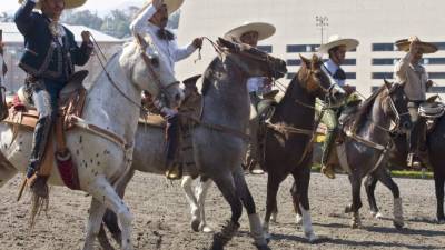 Charros mexicanos durante una Charreada Nacional en Ciudad de México. FOTO Afp