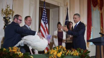 El presidente estadounidense perdonó ayer al pavo 'Cheese', dando inicio a la mayor fiesta en ese país.
