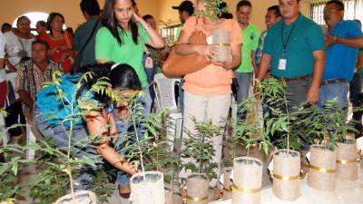 La jornada fue inaugurada el viernes.