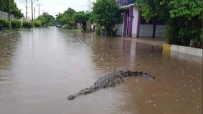Imagen tomada del diario El Sol del Pueblo.