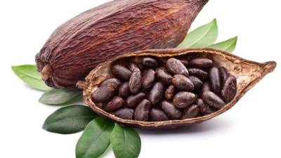 El cacao activa la neurona del gusto mediante estimulación sensorial.