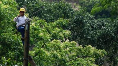Cuadrillas trabajan en la reparación del sistema eléctrico en la zona de Jucutuma. Foto: Wendell Escoto