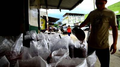 El Gobierno mantiene monitoreo del precio de los frijoles, aseguran que en los mercados donde estaba caro ha ido bajando.