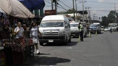 Más de 25,000 unidades estarán aseguradas a nivel nacional, de las cuales más de 10,000 son de la zona norte. Foto: Amílcar Izaguirre