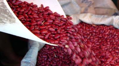 Variedades de granos de frijoles tradicionales en los mercados de la capital.