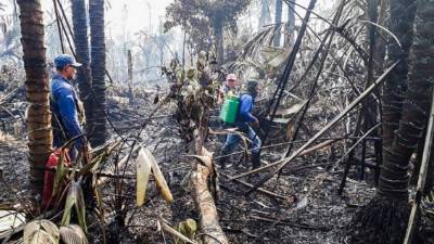 Soldados nicaraguenses combaten el incendio en la reserva Indio Maíz.