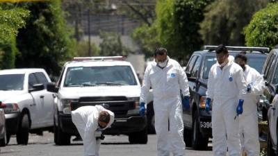 Expertos forenses examinan la escena del crimen en Guadalajara.