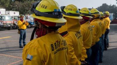 Los cuerpos de bomberos forestales luchan contra los numerosos focos de incendios.