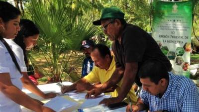 Los miembros de las comunidades de La Mosquitia fueron capacitados sobre el manejo forestal sostenible.
