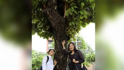Fotografía tomada el pasado 12 de julio, de las activistas Oraya Sutaburn (i) y Chorpaka Wiriyanon (d), representantes de la red 'Urban Tree', que buscan cambiar el sistema de gestión de árboles urbanos en Bangkok y Tailandia para promover una mejor conservación de los escasos espacios verdes con los que cuenta el país. EFE