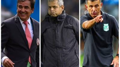 Jorge Luis Pinto, Reinaldo Rueda y Juan Carlos Osorio son las opciones que maneja la Fenafuth.