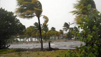 La tormenta tropical Erika se mantiene estable en las últimas horas y amenaza con alcanzar la península de Florida la próxima semana como huracán, informó hoy el Centro Nacional de Huracanes (NHC, por su sigla en inglés) de Estados Unidos.