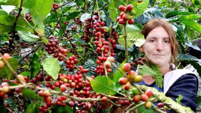 Trabajadores de una finca ubicada en la zona occidental del país.