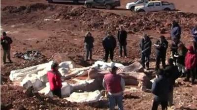 El descubrimiento en el sur de Argentina de restos fósiles de un enorme dinosaurio de 100 toneladas, y otros seis ejemplares, marca un hito en la paleontología.