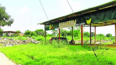 El terreno está ubicado en la salida al sur de San Pedro Sula, a la par de la terminal de buses.