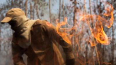 Los incendios en la Amazonía no dan tregua, miles de bomberos y militares intentan apagar las llamas que devastan la selva más grande del mundo./AFP.