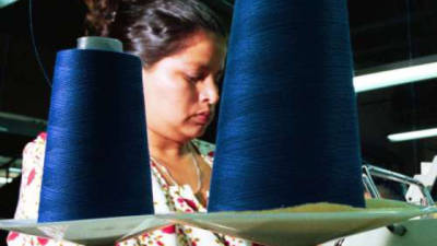 La industria textil hondureña podría obtener localmente su materia prima.