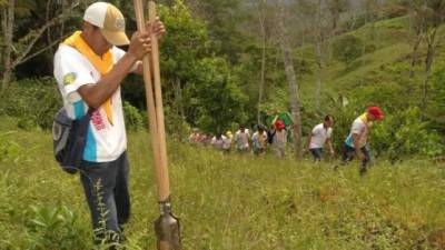 La Municipalidad ha ejecutado varias jornadas de reforestación en la cuenca del río Tulián, aún falta mucho por hacer.