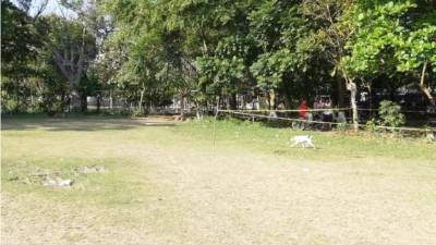 La escena donde fue asesinado hoy el joven Luis Cortés.