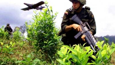 El ejército colombiano ha iniciado una ofensiva en los departamentos del Cauca y Antioquia.