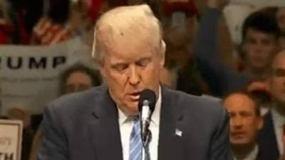 La mosca se notó en el cabello blanco del magnate.